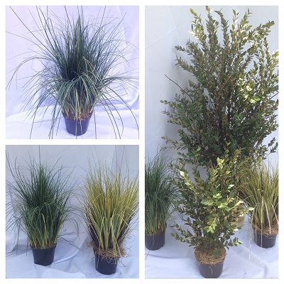 Artificial potted grass - Greenery & Floral - artificial potted grass 2 feet tall